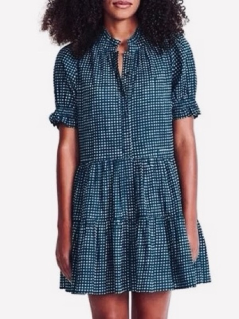 Apiece Apart. Las Alturas Mini Dress. Blue & White Gingham Check. Size Small.